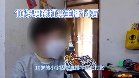 12岁女孩三天打赏主播10万元，这笔钱到底该不该退回「主播骗1500万」 论文提纲