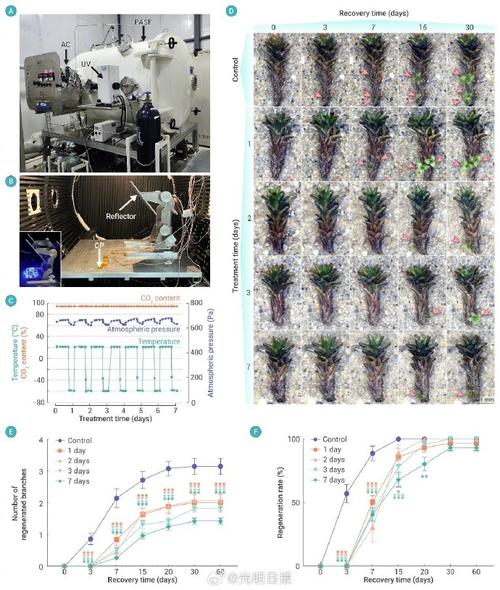 人类要在火星上种植的植物名称为「或在火星存活的植物有哪些」 参考文献