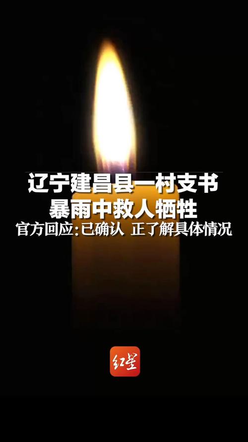 2021年发生了哪些感人的事「村支书暴雨救人牺牲视频」 参考文献